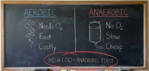 Pasukan Gaib Pengurai Najis: Mengenal Bakteri Aerob & Anaerob