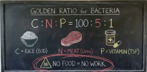 Memberi Makan Pasukan Kecil: Rumus Nutrisi C:N:P Agar Bakteri Sehat