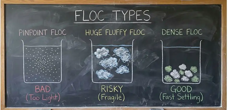 Membaca Tanda Alam: Mengamati Bentuk dan Kecepatan Endap Flok