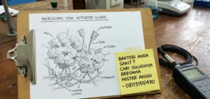Seni Menyelesaikan Masalah: Troubleshooting Umum pada WTP & WWTP