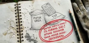 Memberi Makan Pasukan Kecil: Rumus Nutrisi C:N:P Agar Bakteri Sehat