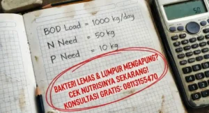 Nutrisi Tidak Seimbang: Saat Bakteri Kelaparan Atau Kekenyangan