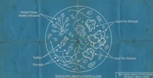 Membaca Tanda Alam: Arti Warna & Bau Lumpur Aerasi