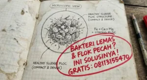 Bakteri Juga Butuh Vitamin: Penambahan Mikronutrien